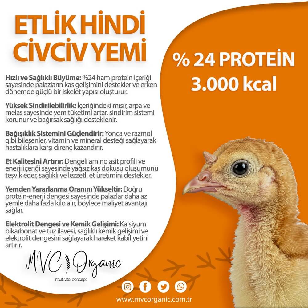 MVC Organic Hindi Civciv Yemi, bitkisel yem, küçük civcivler için sağlıklı ve doğal beslenme ürünü.