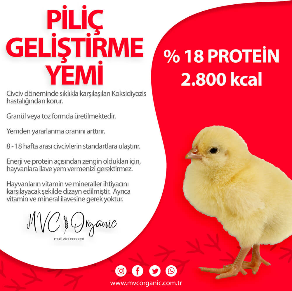MVC Organic yumurtacı gelişim yemi, 18HP protein içeren bitkisel yem, tavuk ve civcivler için yüksek besin değeri