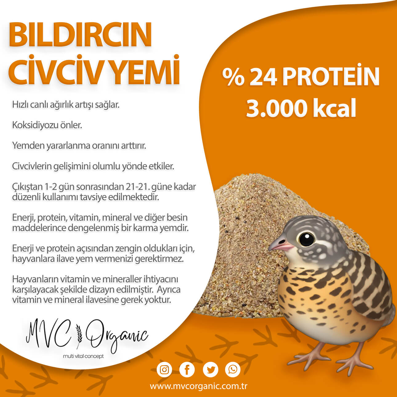 MVC Organic bıldırcın civciv yemi toz formda, bitkisel içerikli ve 24HP kapasiteyle civcivler için ideal yem.