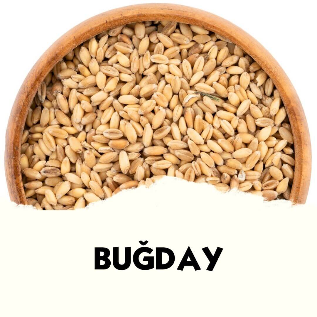 Toptan buğday yemliği, doğal buğday hammadde görüntüsü, yan yana dizili ve taze görünümde.