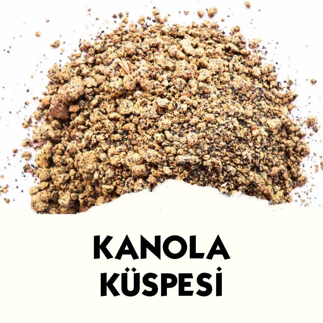 MVC Organic kanola küspesi, toptan hammadde olarak gösterilen, kuru ve sarı renkli ürün görseli.