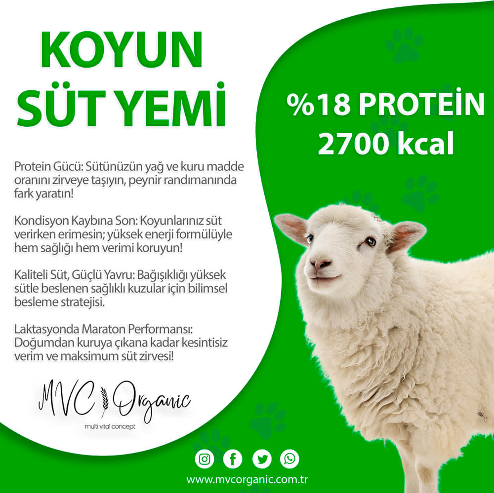 MVC Organic koyun süt yemi, bitkisel yemler, yüksek proteinli hayvan yemi, koyunlar için sağlıklı beslenme ürünü