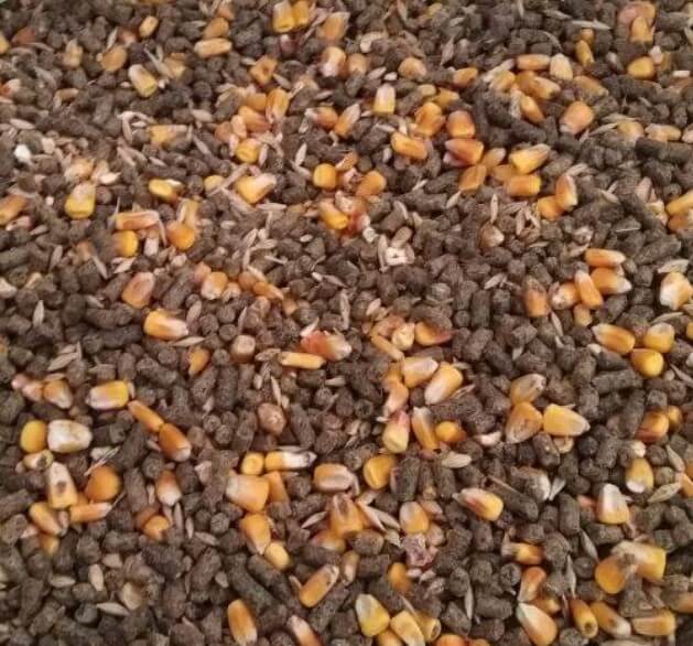 MVC Organic Toklu Yemi, 14 Protein bitkisel yem, doğal ve sağlıklı hayvan beslemesi için uygun, yem karışımı.