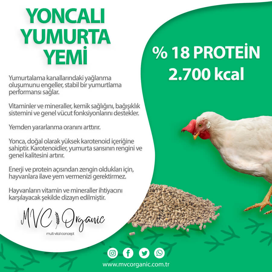 MVC Organic Yoncalı Yumurta Yemi 18HP, bitkisel yem, yumurta verimini artıran organik yem, doğal beslenme için uygun