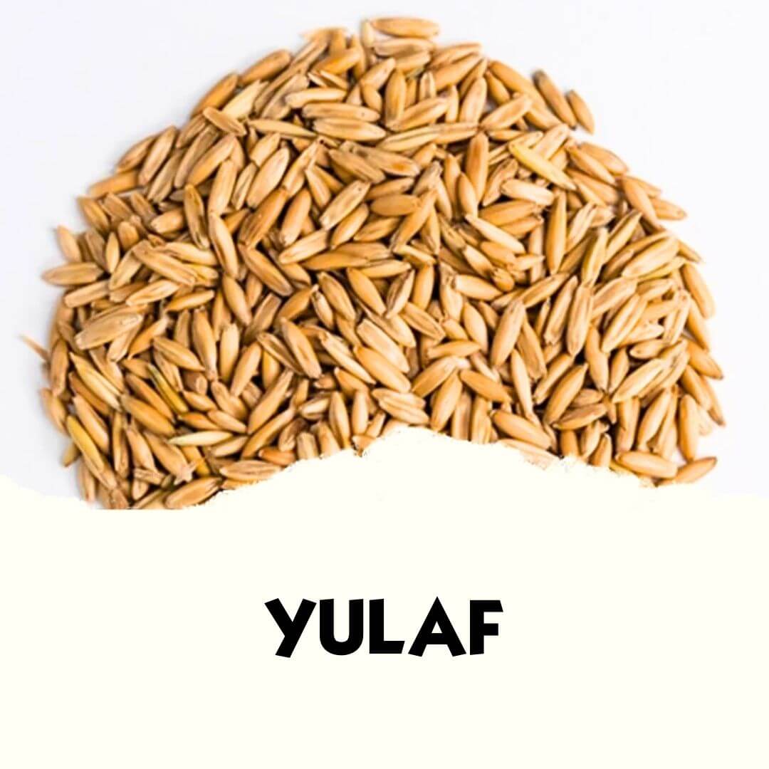 20 kg bitkisel yemler yulaf, taze ve sağlıklı doğal yulaf taneleri, çiftlik kullanımı için uygun.