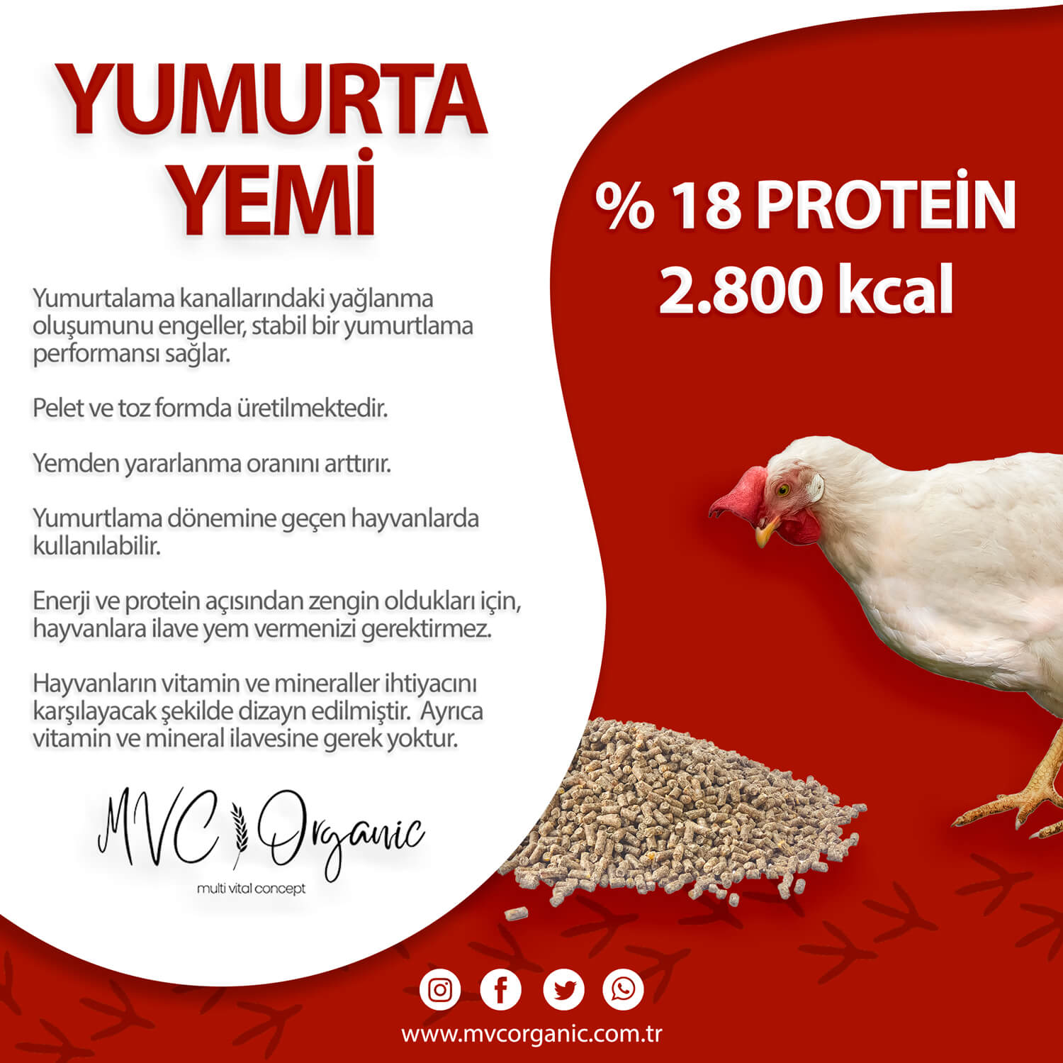 MVC Organic yumurta yemi 18HP, bitkisel yemler, sağlıklı tavuklar için yüksek kaliteli yem.