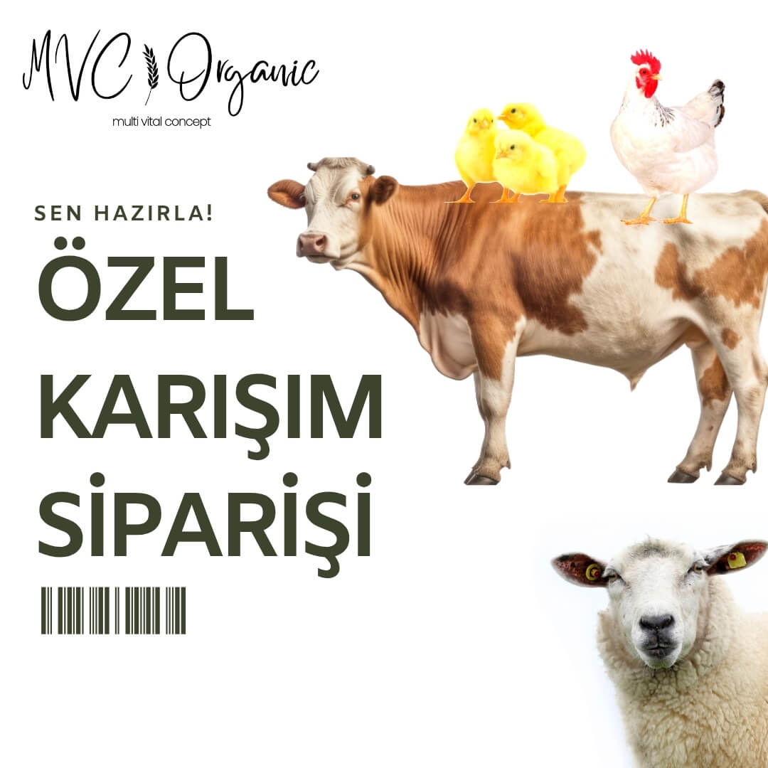 Toptan hammadde olarak kullanılan özel karışımlar, çeşitli renk ve dokularda, doğal ve kaliteli malzemeler.